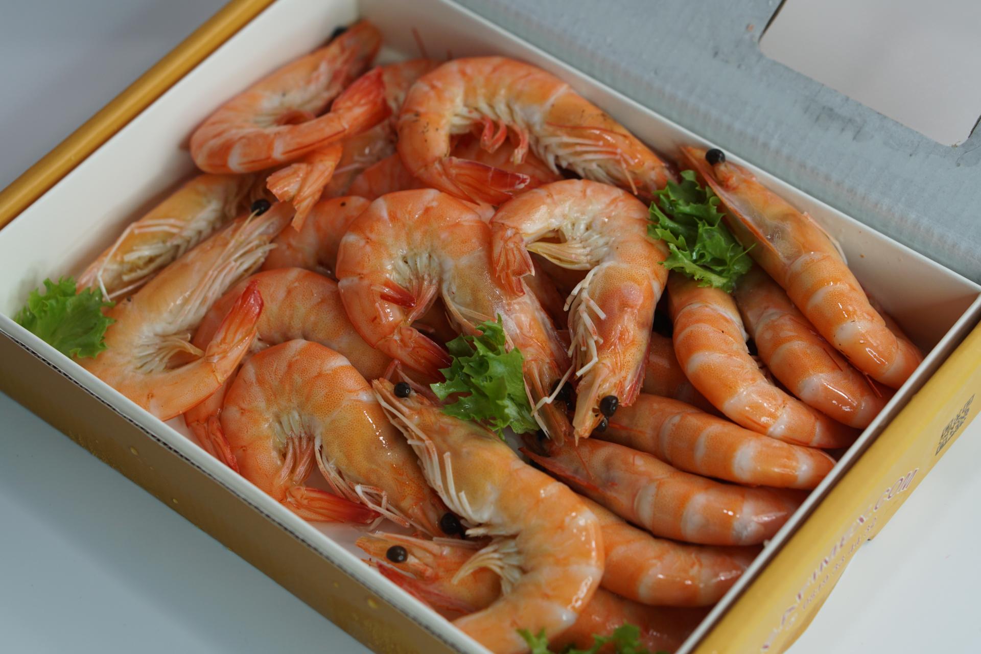 seafimex.com