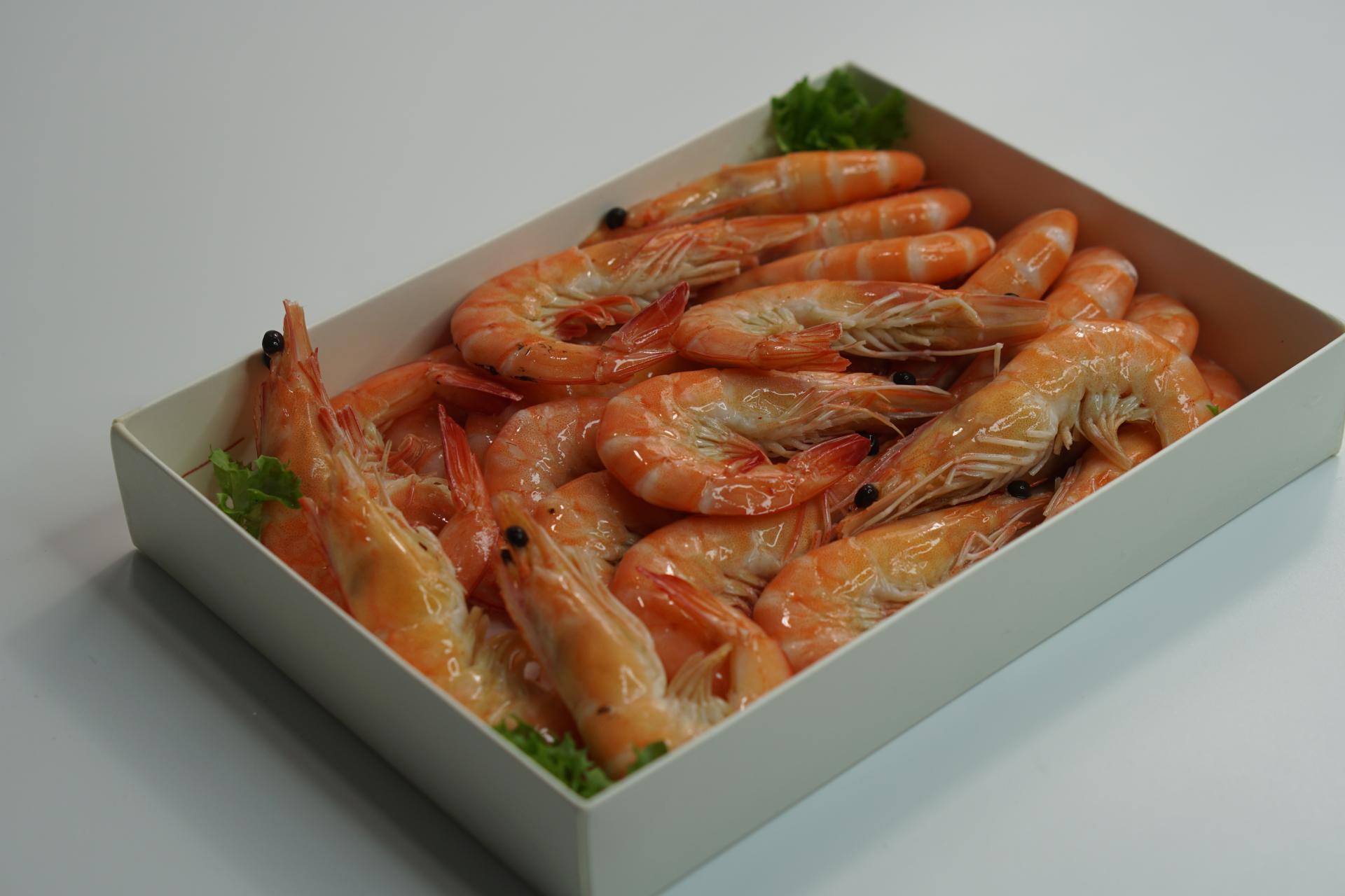 seafimex.com