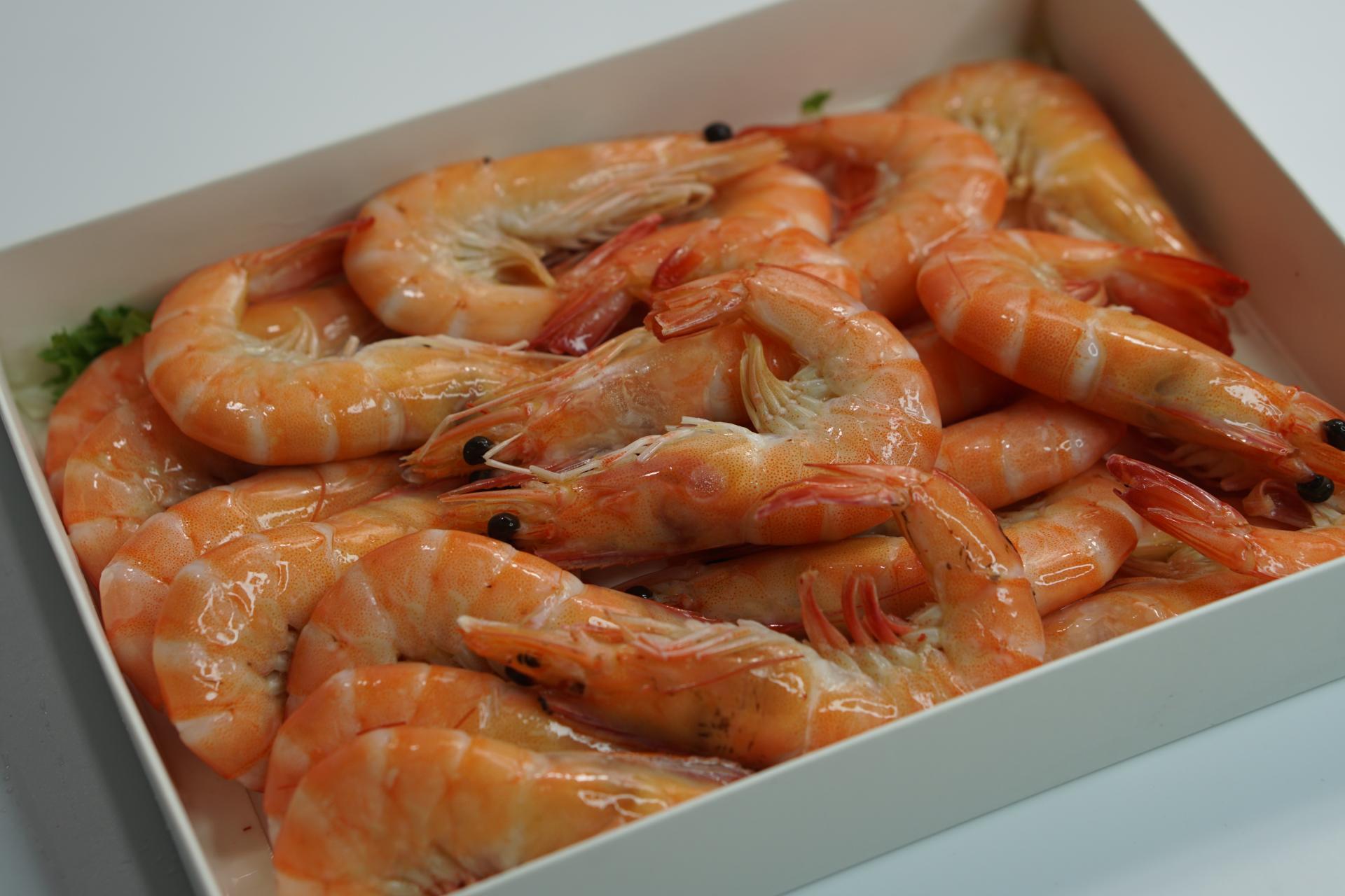 seafimex.com